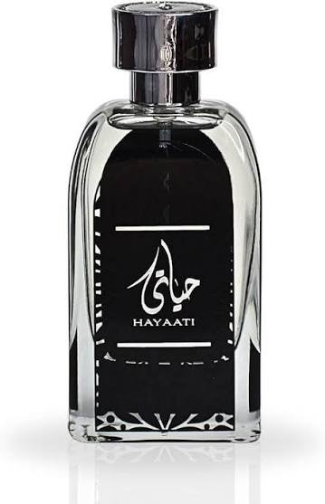 Hayaati - Imagem 3
