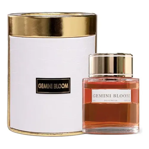 Gemini Bloom - Imagem 4