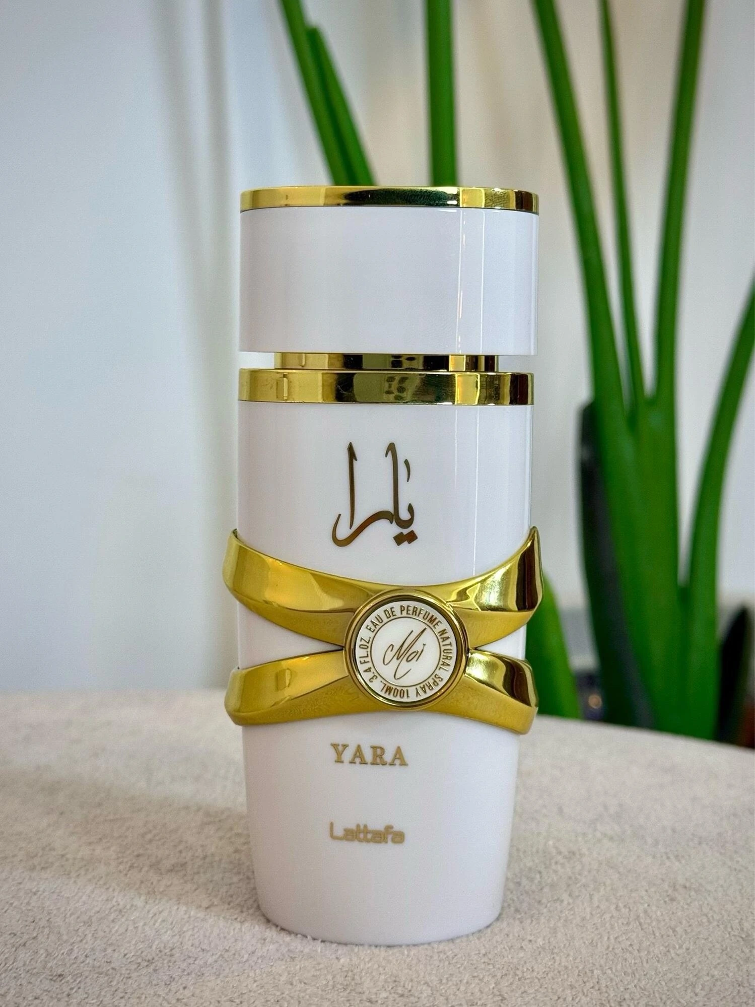 Yara Moi - Imagem 4